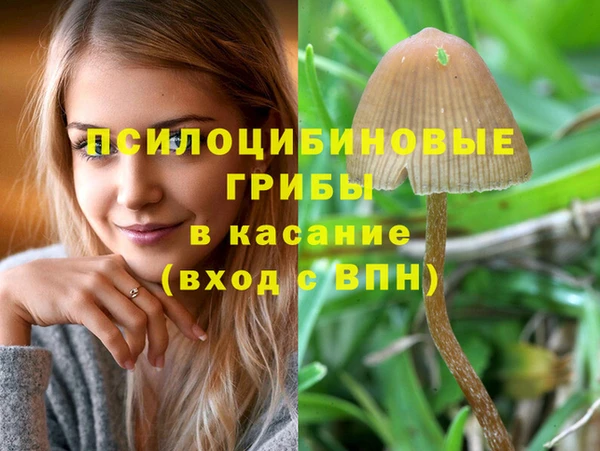 круглые Елизово