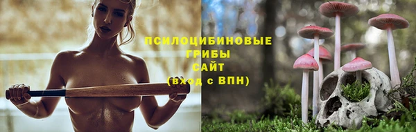 гашишное масло Дмитровск