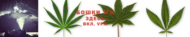 марки nbome Ельня