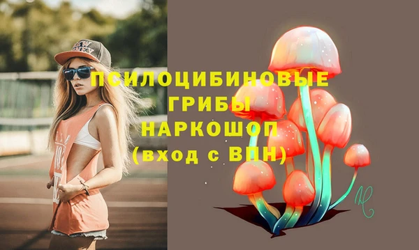 гашишное масло Дмитровск
